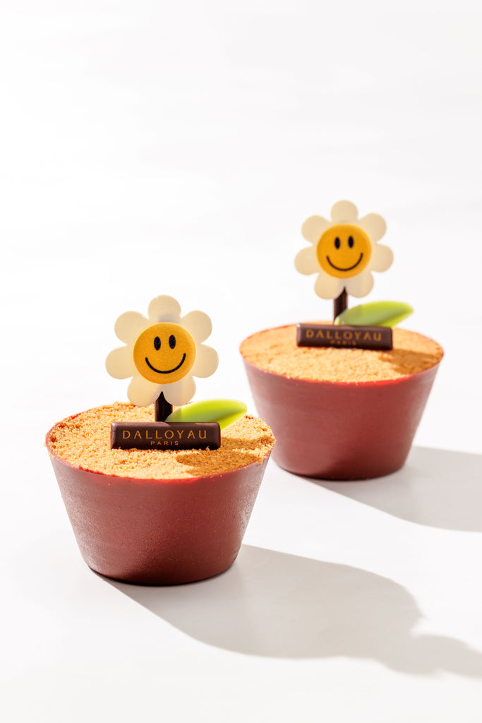 Serradura Flower Pot 花盤木糠布甸